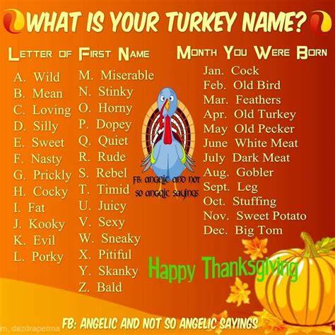 turkey name generator|what is your thanksgiving name.